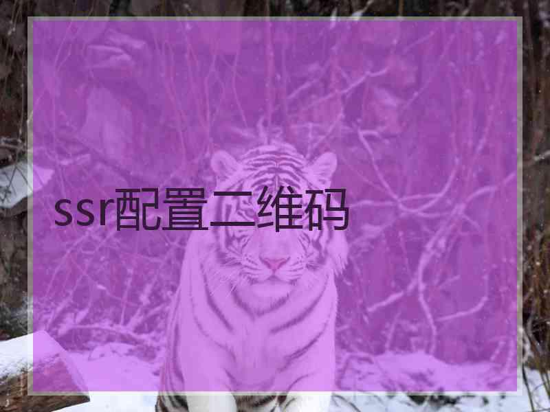 ssr配置二维码