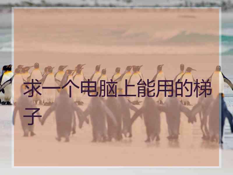 求一个电脑上能用的梯子