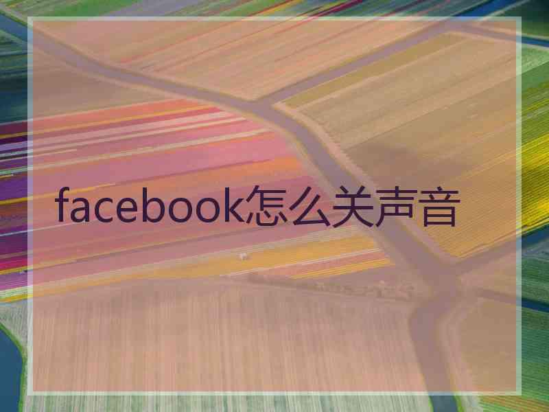 facebook怎么关声音