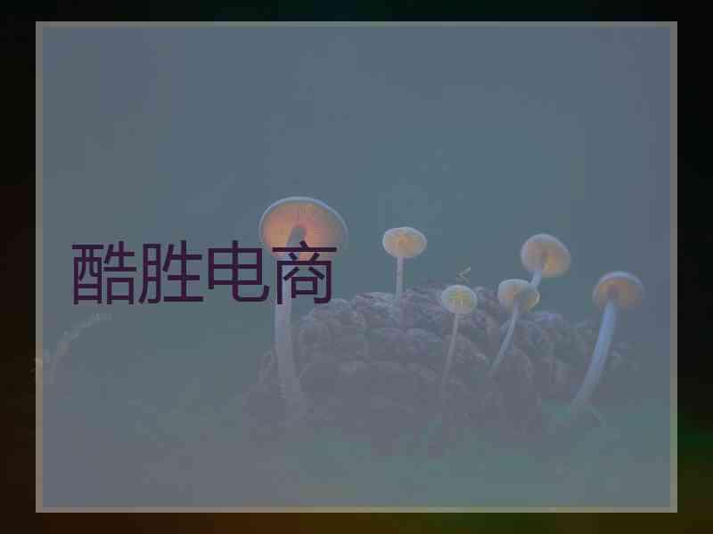 酷胜电商