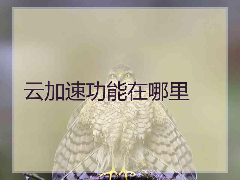 云加速功能在哪里