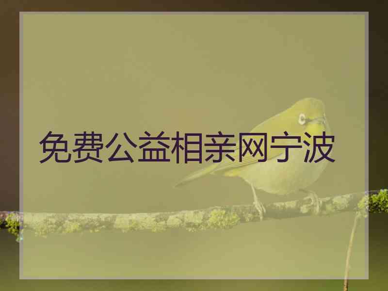 免费公益相亲网宁波