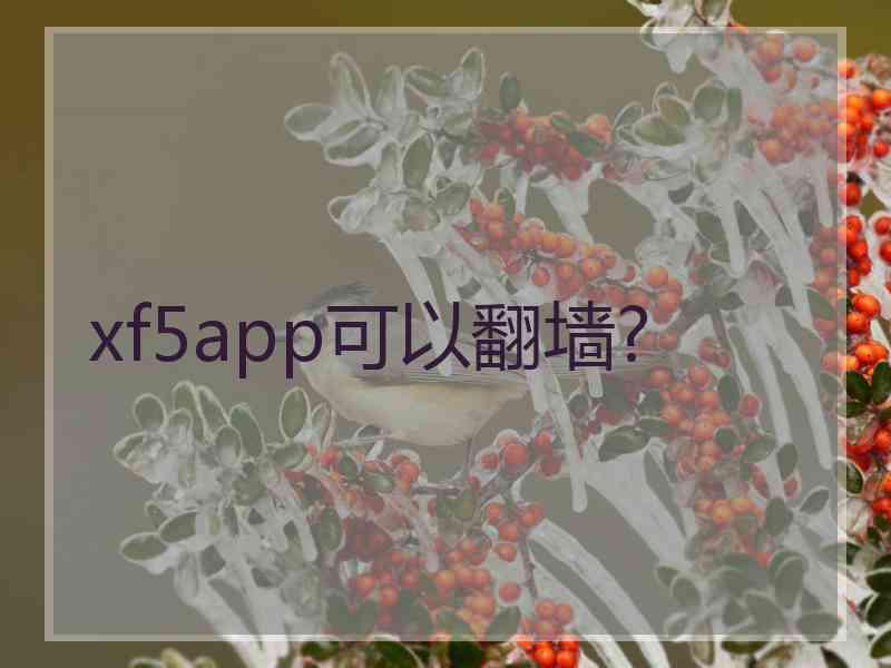 xf5app可以翻墙?