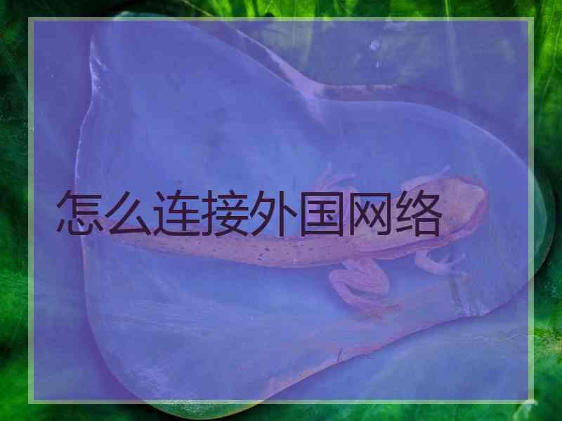 怎么连接外国网络