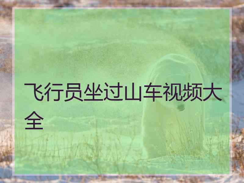 飞行员坐过山车视频大全