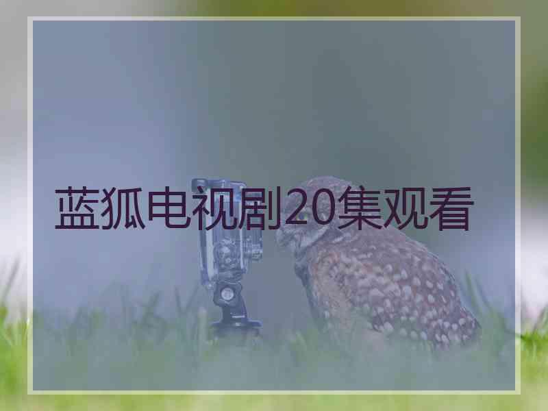 蓝狐电视剧20集观看