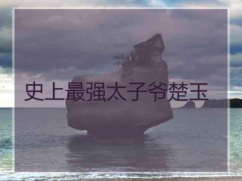 史上最强太子爷楚玉