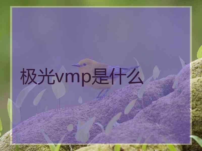 极光vmp是什么