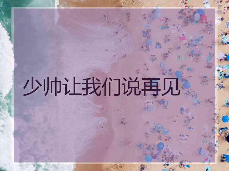 少帅让我们说再见