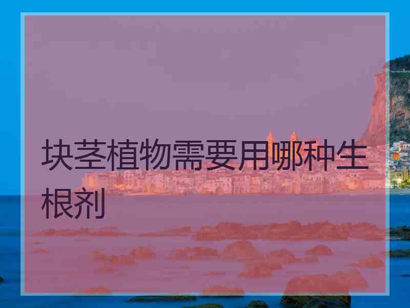 块茎植物需要用哪种生根剂