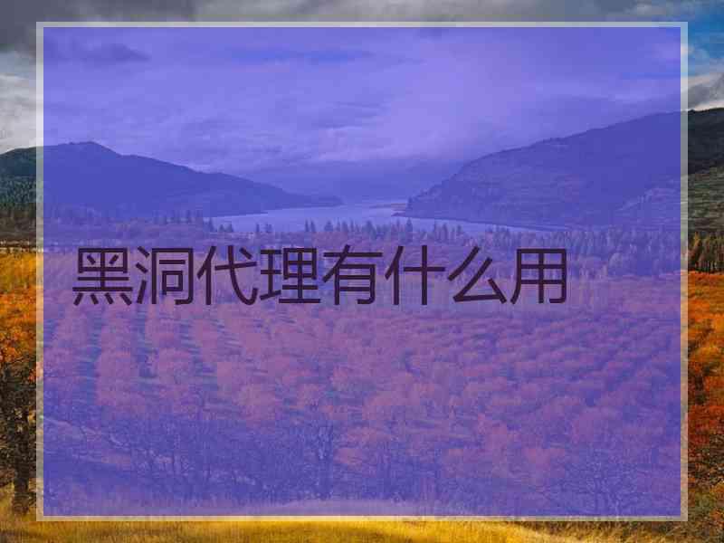 黑洞代理有什么用