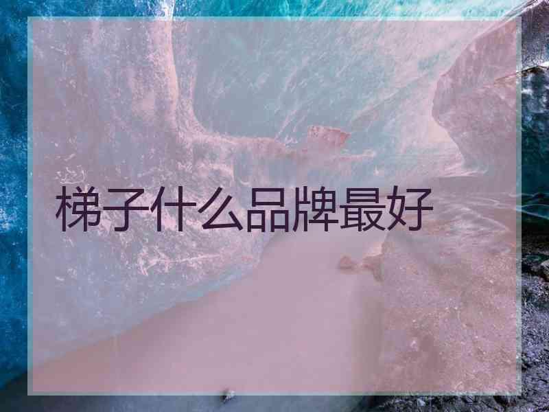 梯子什么品牌最好