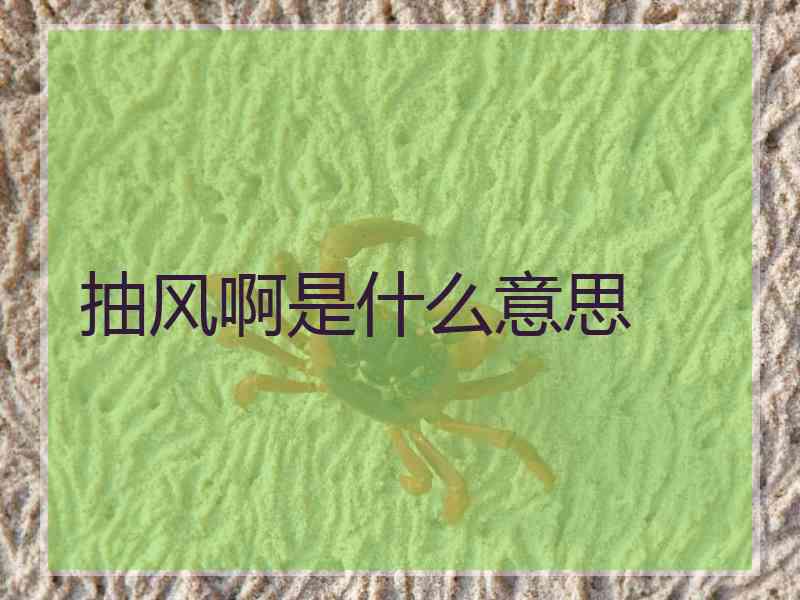 抽风啊是什么意思
