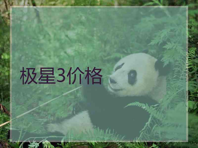 极星3价格