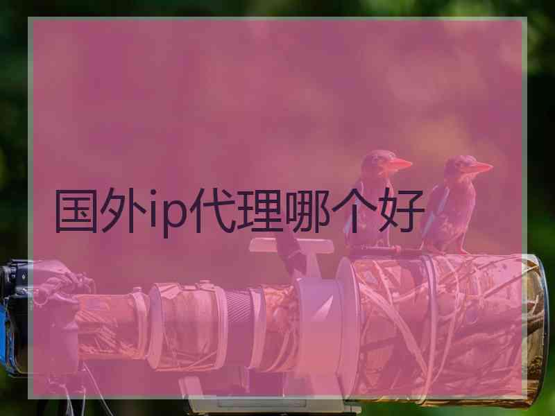 国外ip代理哪个好