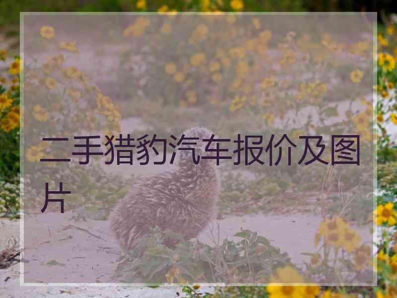 二手猎豹汽车报价及图片
