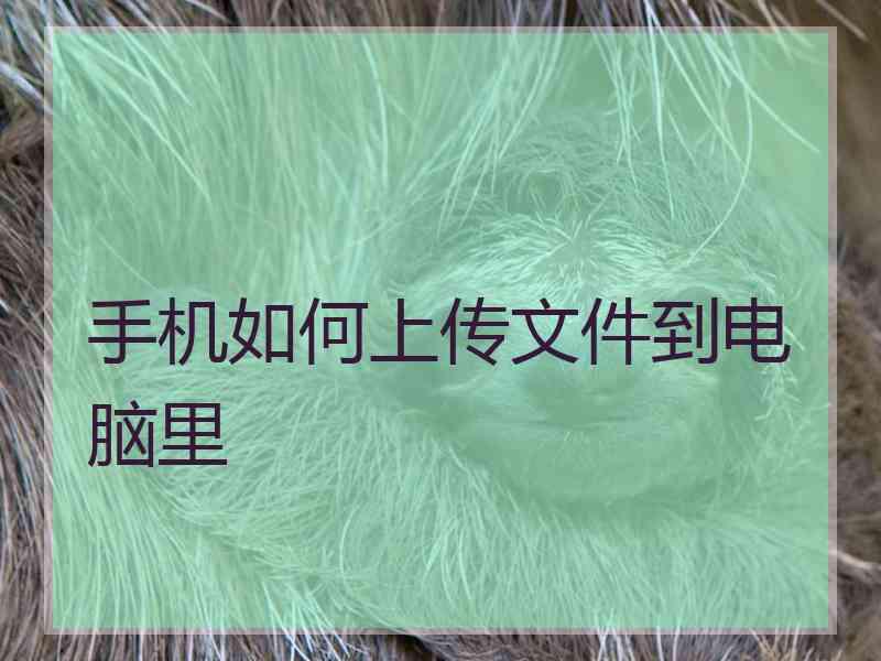 手机如何上传文件到电脑里