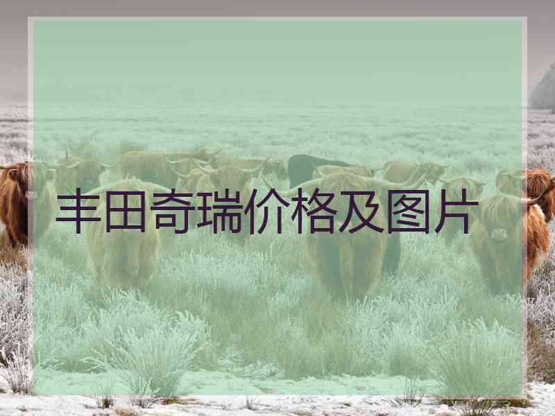 丰田奇瑞价格及图片