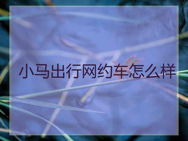 小马出行网约车怎么样