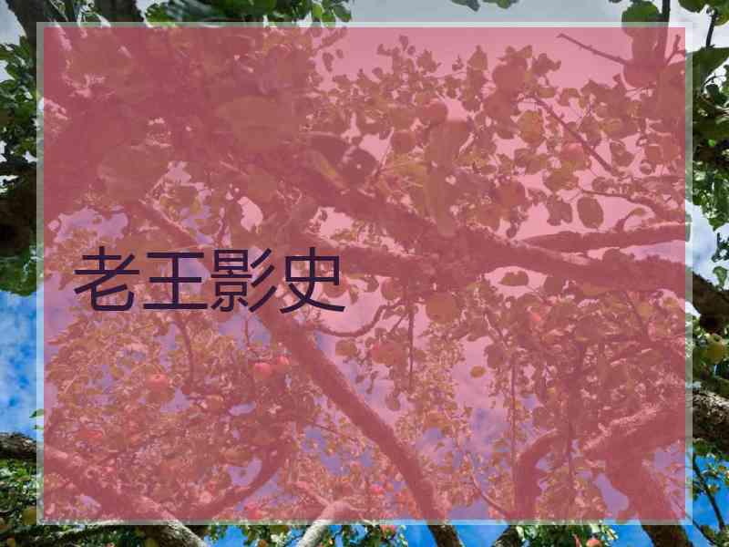 老王影史