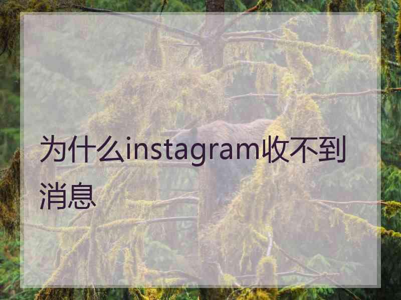 为什么instagram收不到消息