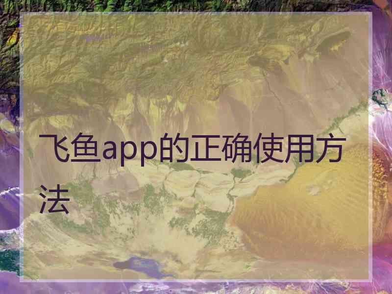 飞鱼app的正确使用方法
