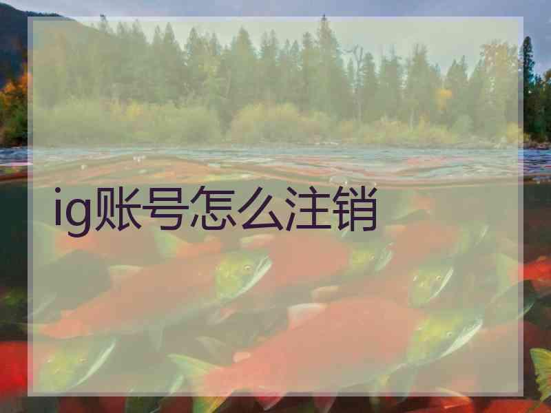 ig账号怎么注销