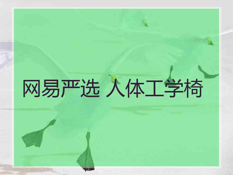 网易严选 人体工学椅