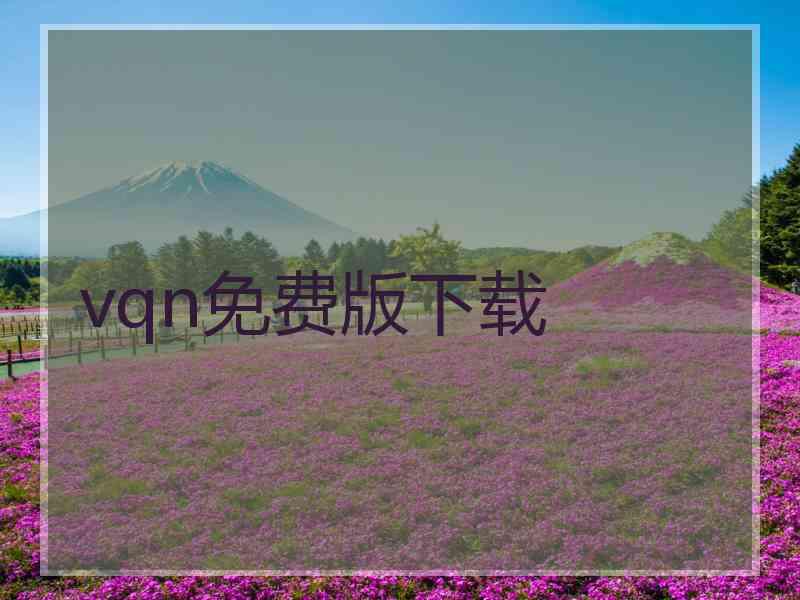 vqn免费版下载