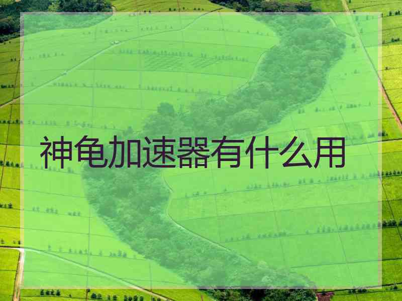 神龟加速器有什么用
