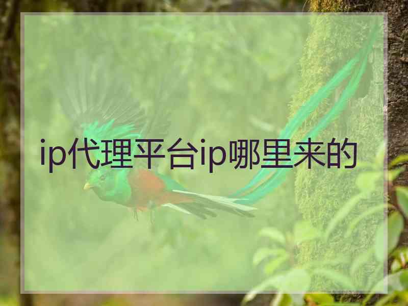 ip代理平台ip哪里来的