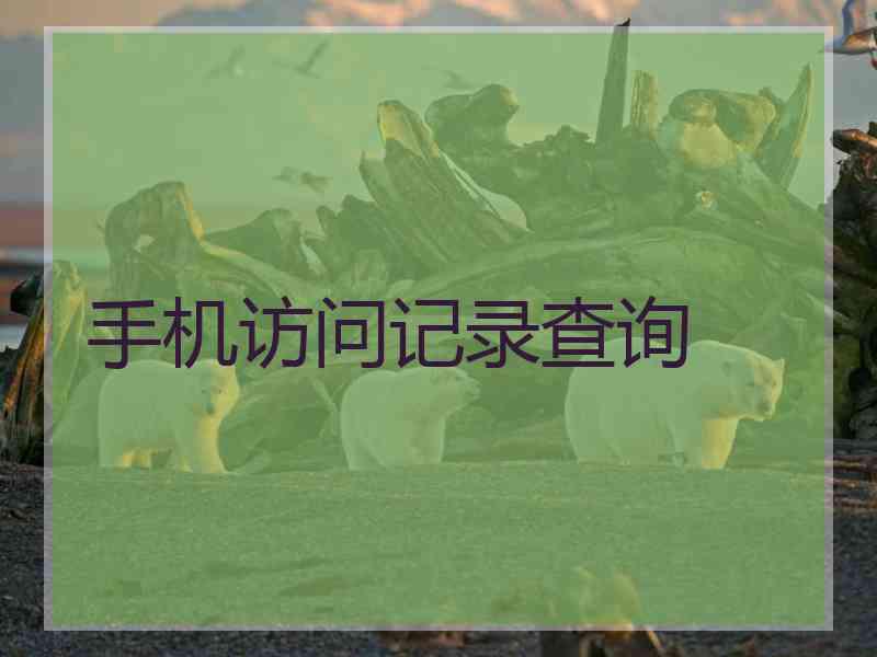 手机访问记录查询