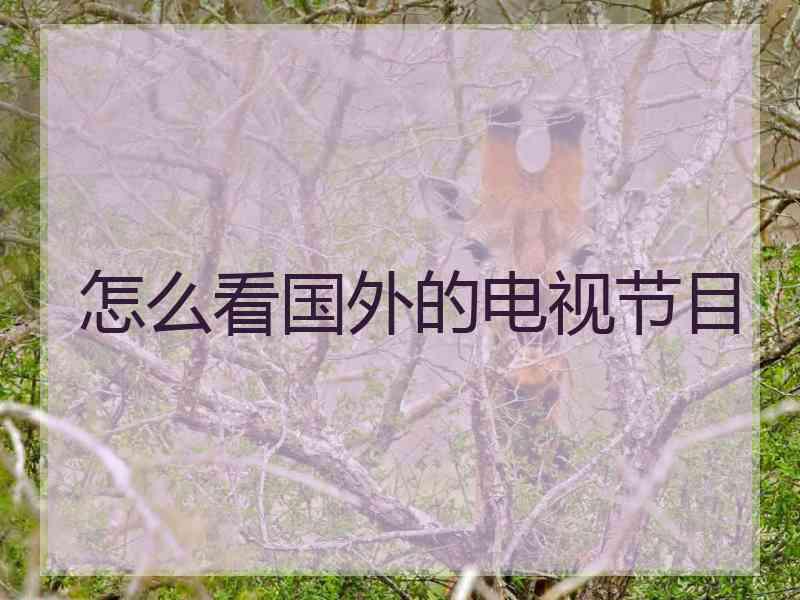 怎么看国外的电视节目