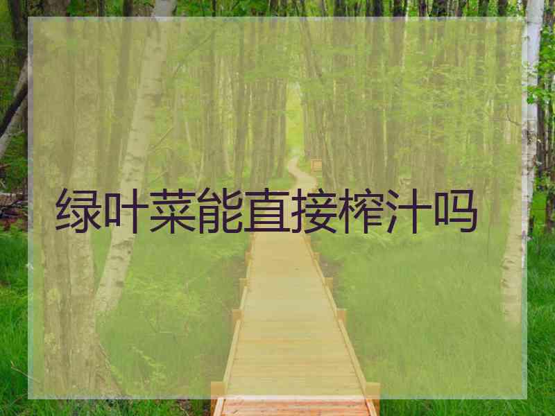 绿叶菜能直接榨汁吗