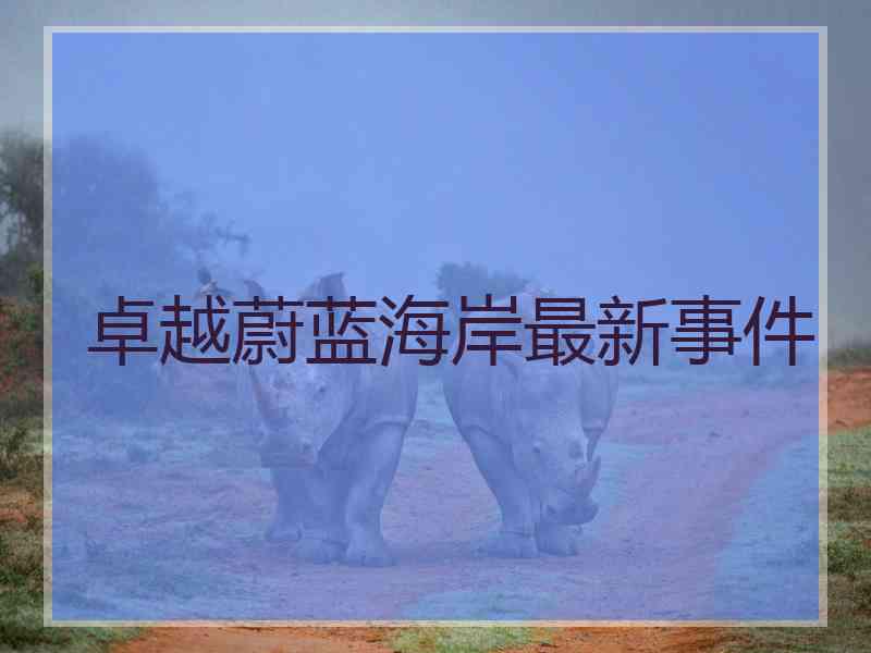 卓越蔚蓝海岸最新事件