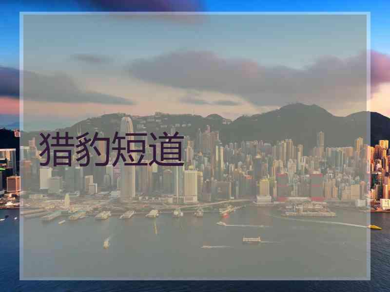 猎豹短道