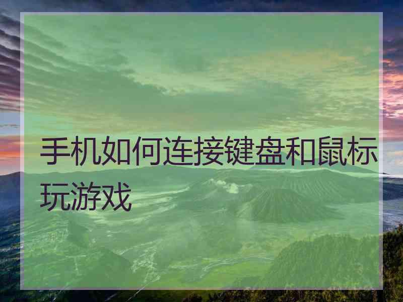 手机如何连接键盘和鼠标玩游戏