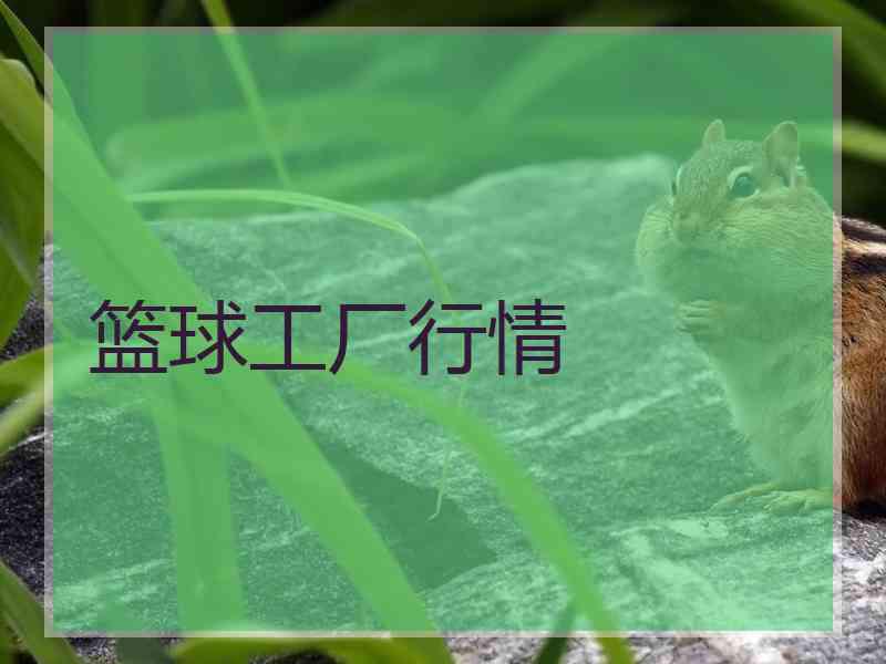 篮球工厂行情
