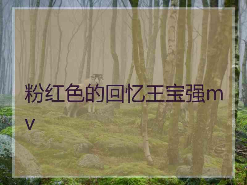 粉红色的回忆王宝强mv