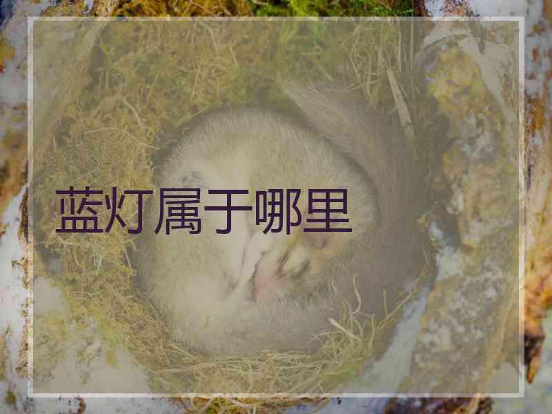 蓝灯属于哪里