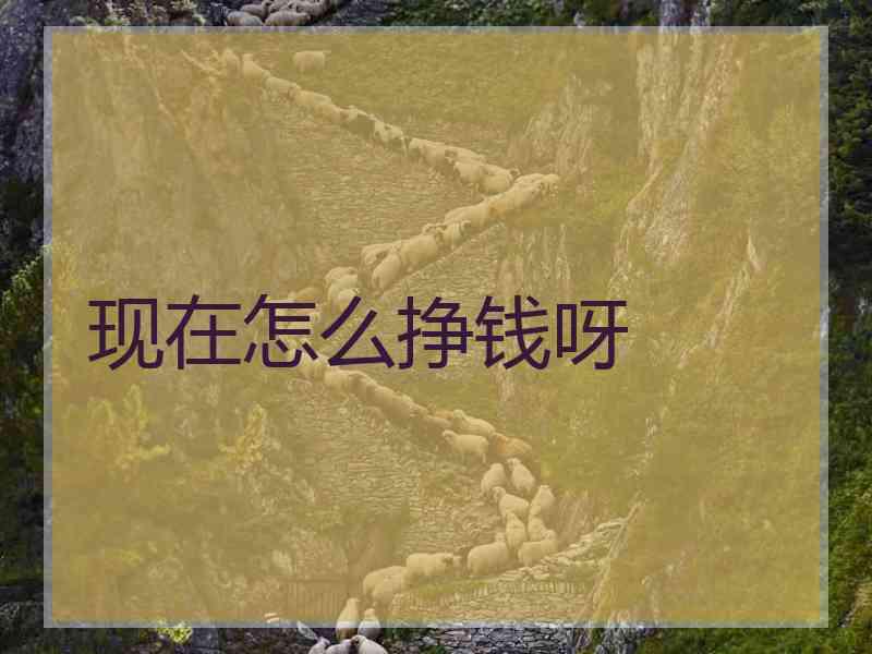 现在怎么挣钱呀