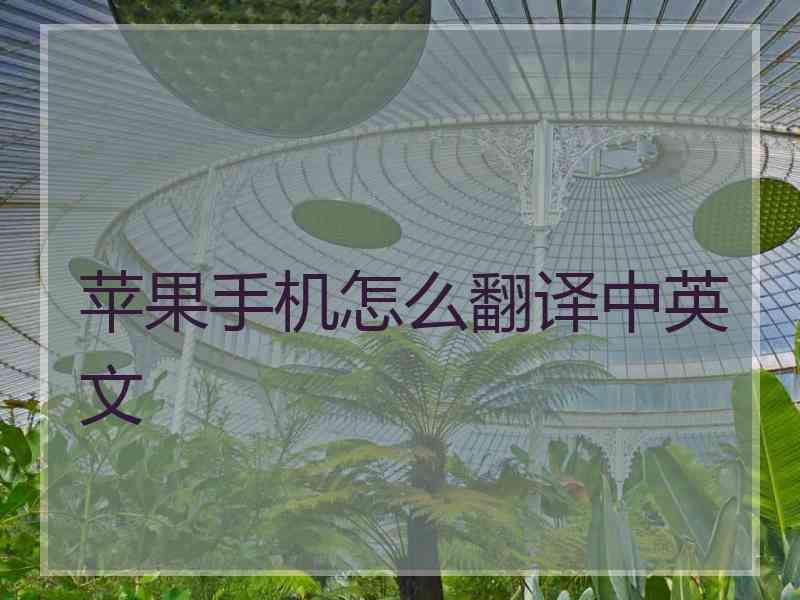 苹果手机怎么翻译中英文