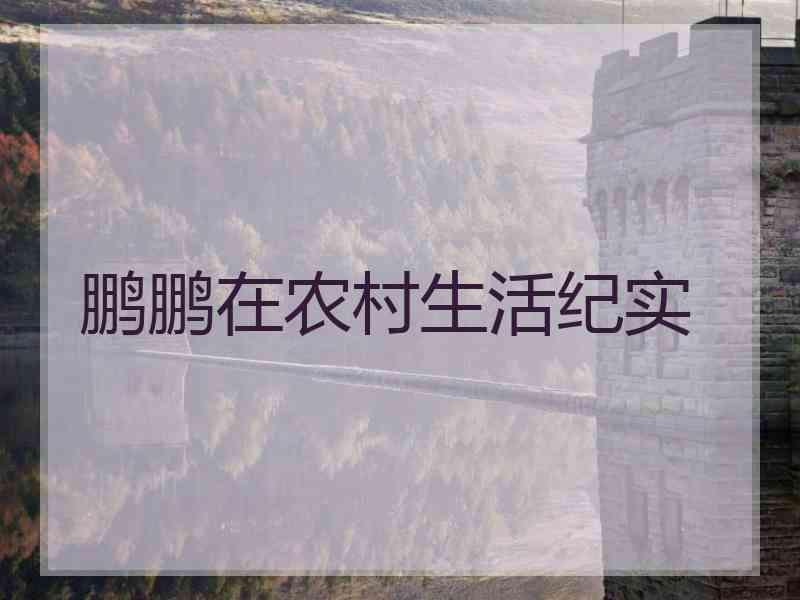 鹏鹏在农村生活纪实