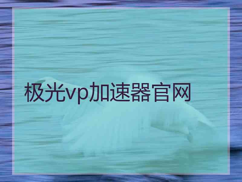 极光vp加速器官网