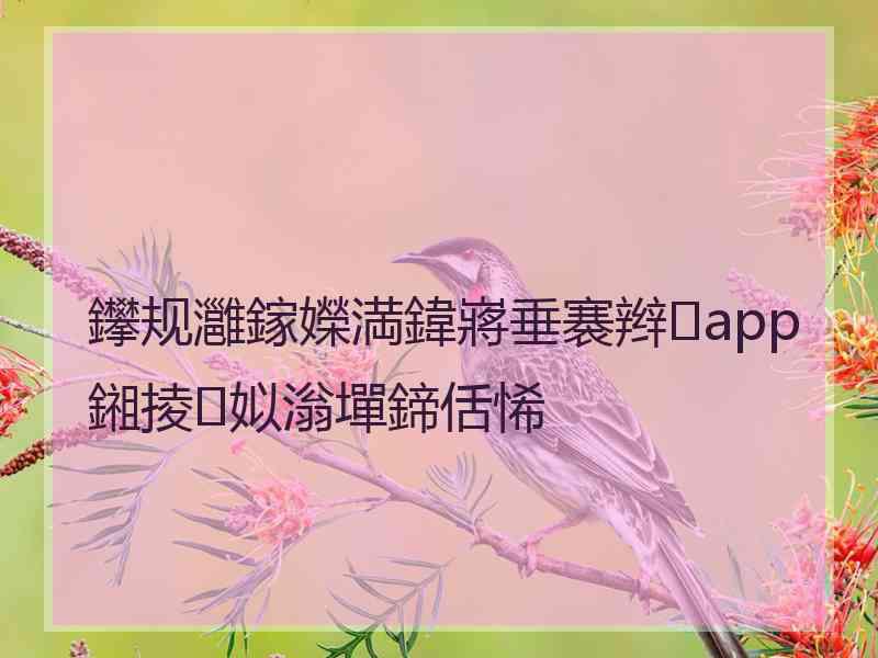 鑻规灉鎵嬫満鍏嶈垂褰辫app鎺掕姒滃墠鍗佸悕