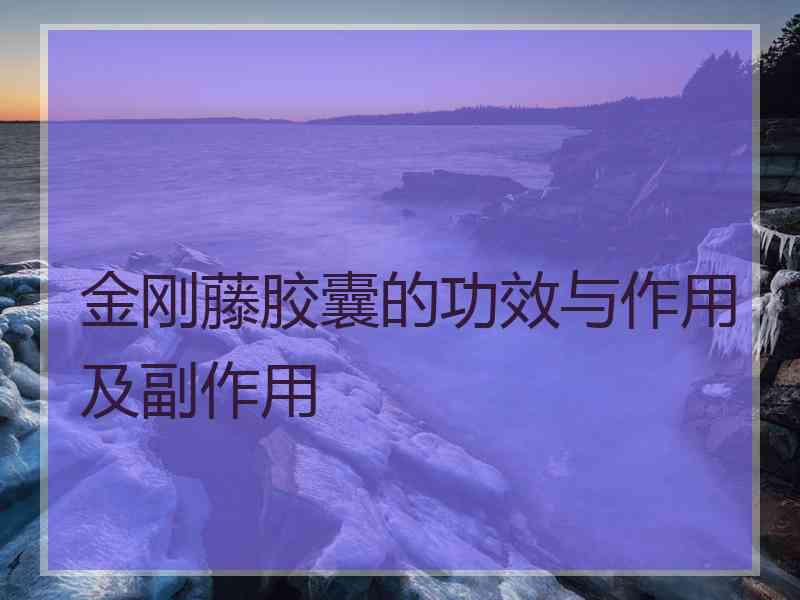 金刚藤胶囊的功效与作用及副作用