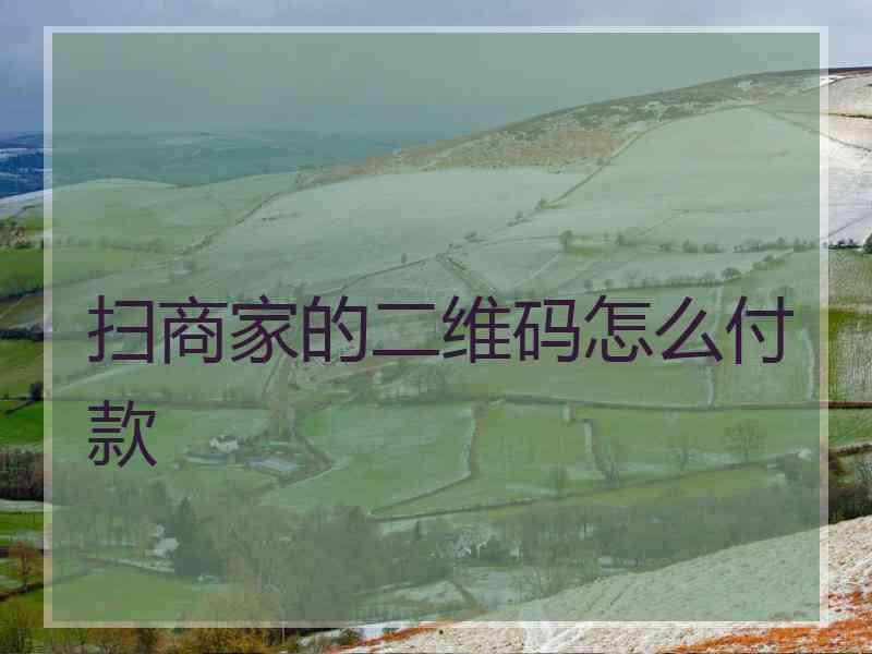 扫商家的二维码怎么付款