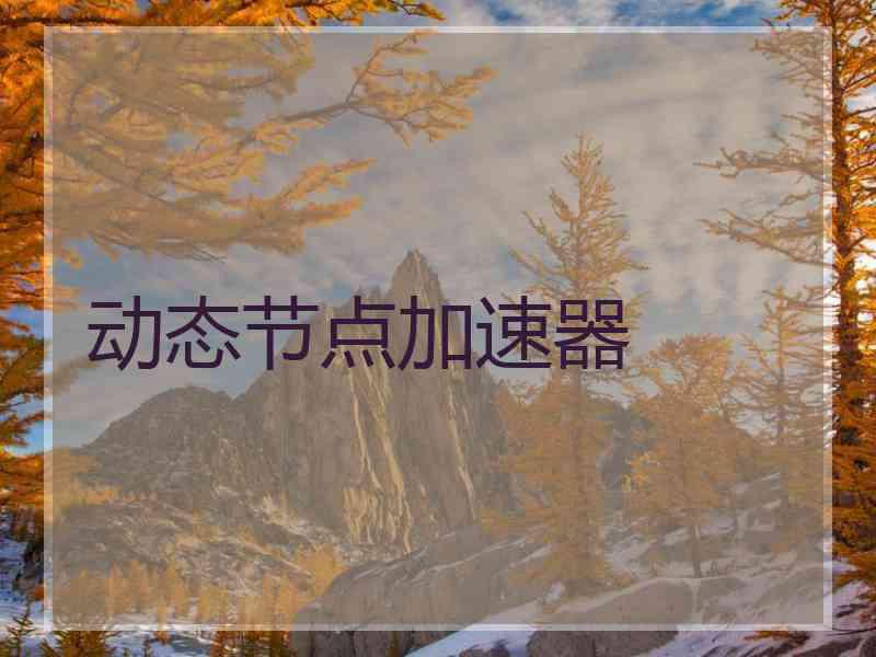 动态节点加速器