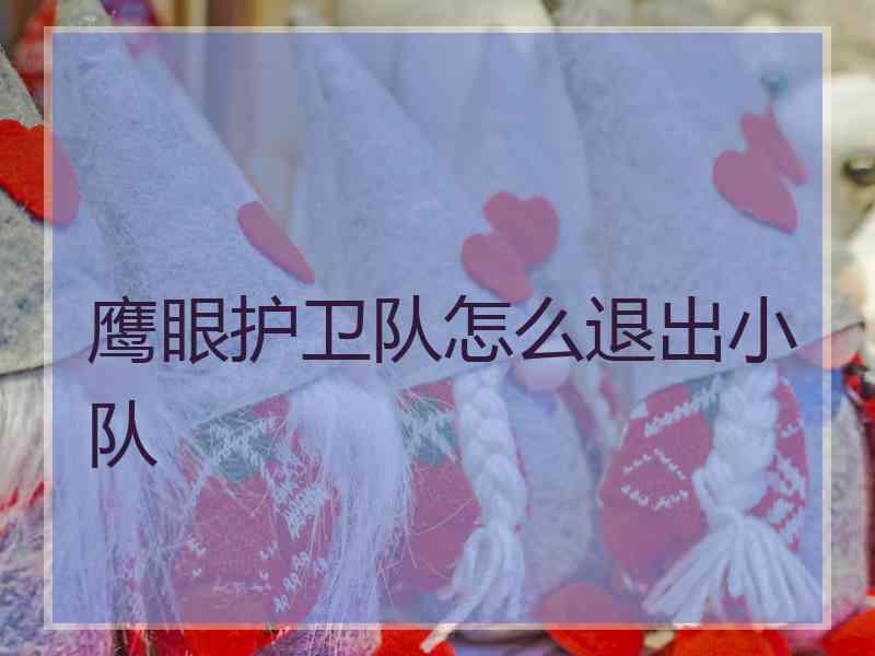 鹰眼护卫队怎么退出小队