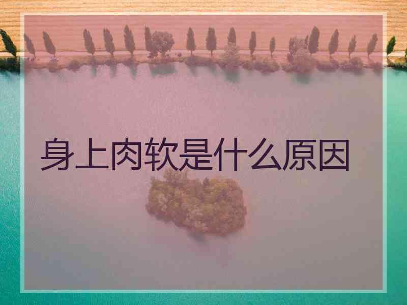 身上肉软是什么原因